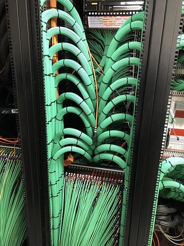 Dense green coax cable bundles dressed in repeated arcs inside a network cabinet